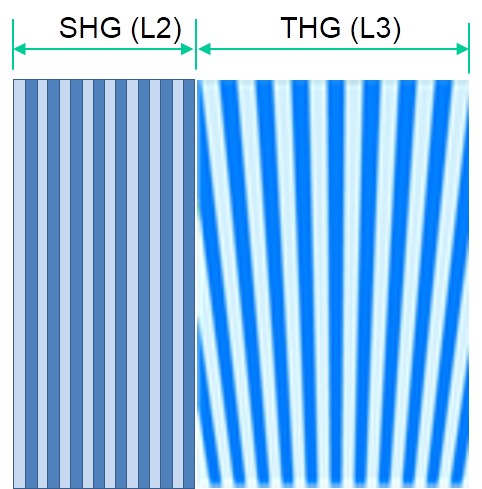 SHG/THG モノリシック Fan-out PP-Mg:SLT